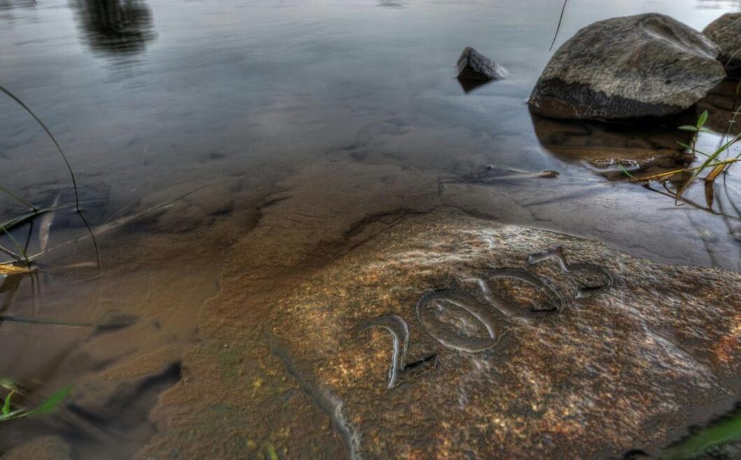 Schmidtalien Schlemmen Und Schlummern Dommitzsch エクステリア 写真